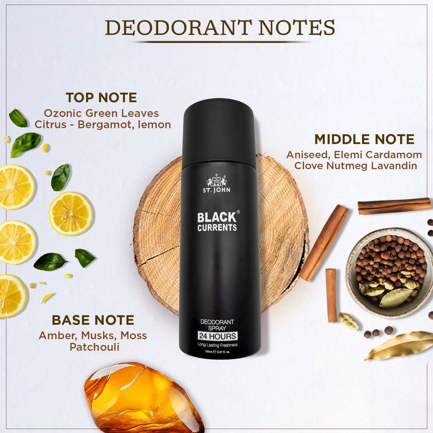 ST. JOHN Black Currant Deodorant – Citrus, Spicy & Woody Notes – Bold & Adventurous Scent – 150ml - Vijohnkart.com