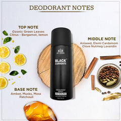 ST. JOHN Black Currant Deodorant – Citrus, Spicy & Woody Notes – Bold & Adventurous Scent – 150ml - Vijohnkart.com