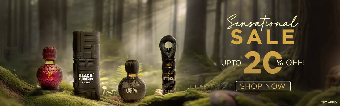 Best Perfumes Under 1000